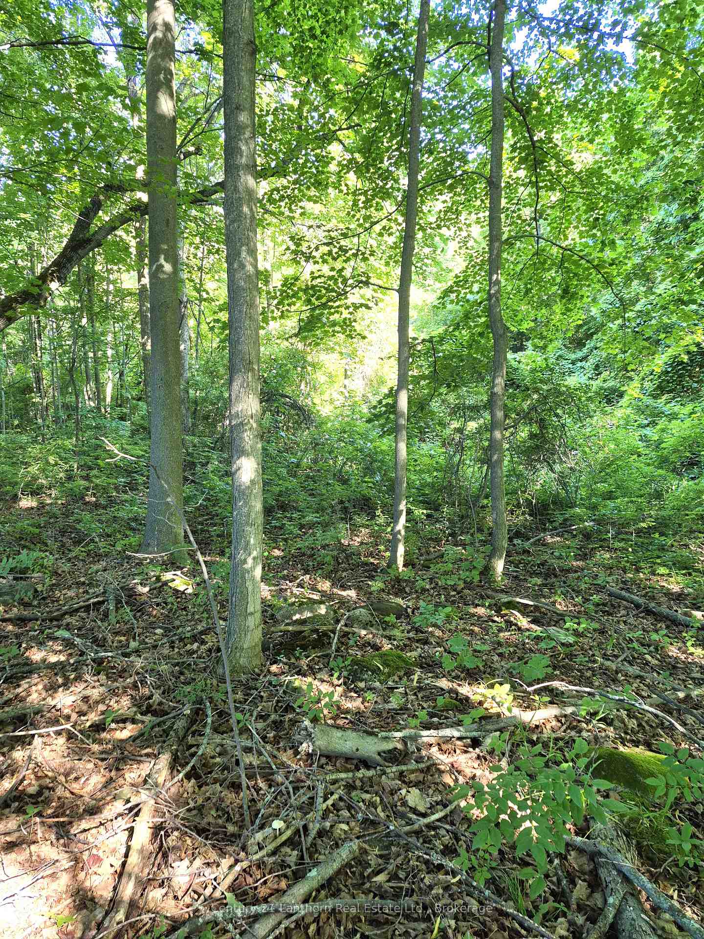 Photo 39 of 448 Harrington Road, Quinte West, Sidney Ward — HOMEH