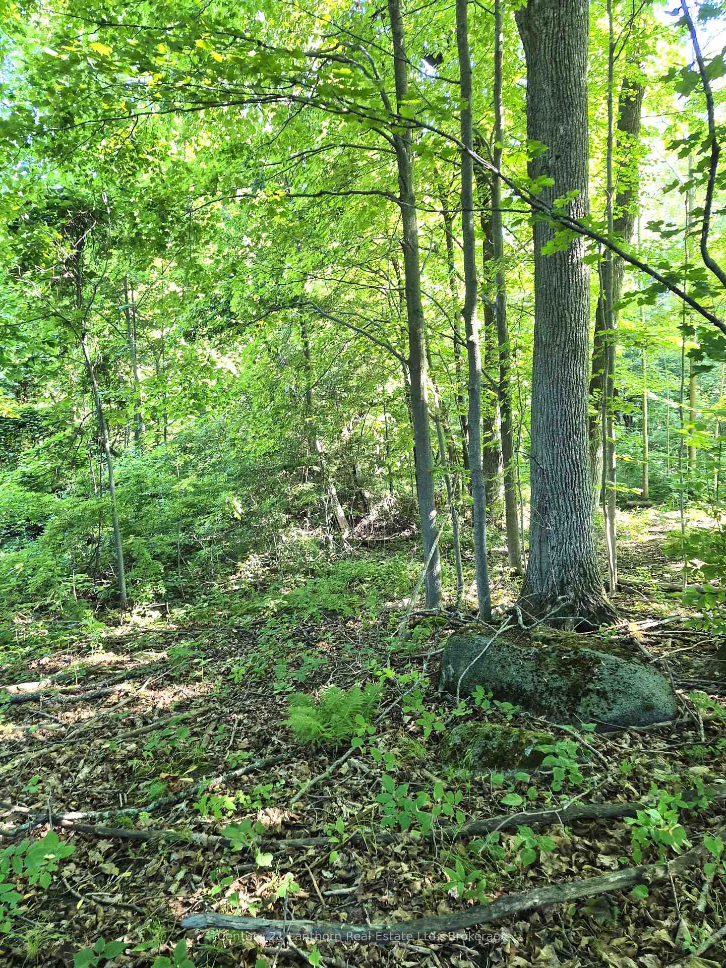 Photo 40 of 448 Harrington Road, Quinte West, Sidney Ward — HOMEH