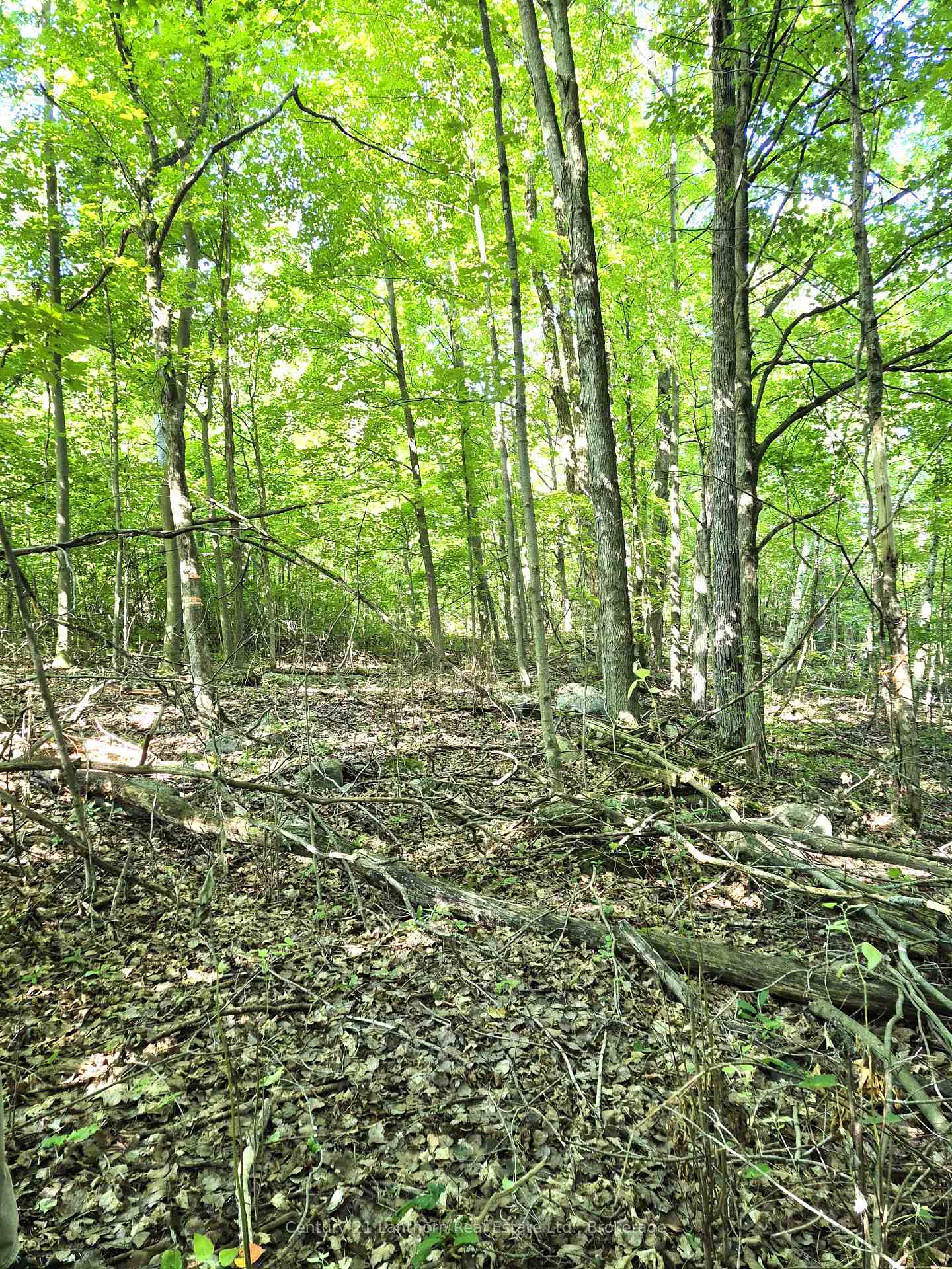 Photo 41 of 448 Harrington Road, Quinte West, Sidney Ward — HOMEH