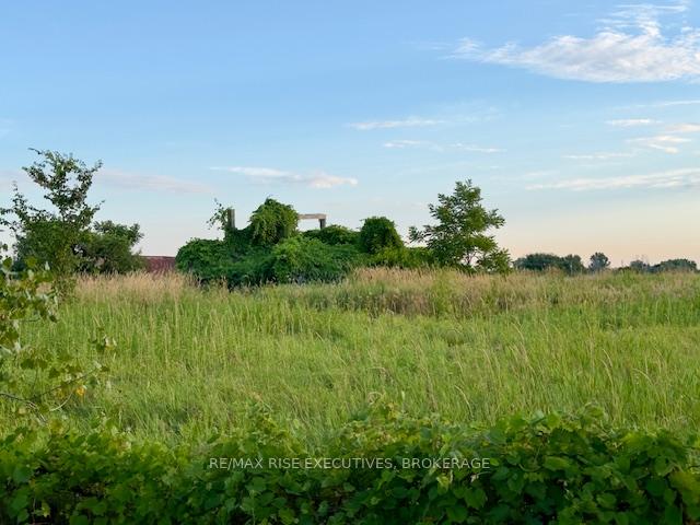 Photo 4 of 3878 County Rd 8, Greater Napanee, Greater Napanee — HOMEH
