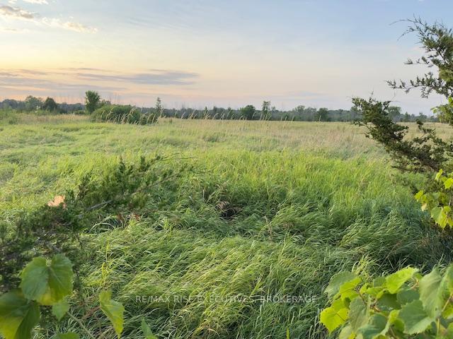 Photo 5 of 3878 County Rd 8, Greater Napanee, Greater Napanee — HOMEH