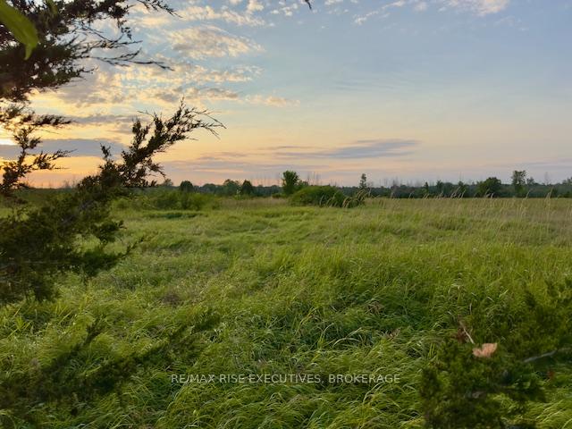 Photo 6 of 3878 County Rd 8, Greater Napanee, Greater Napanee — HOMEH