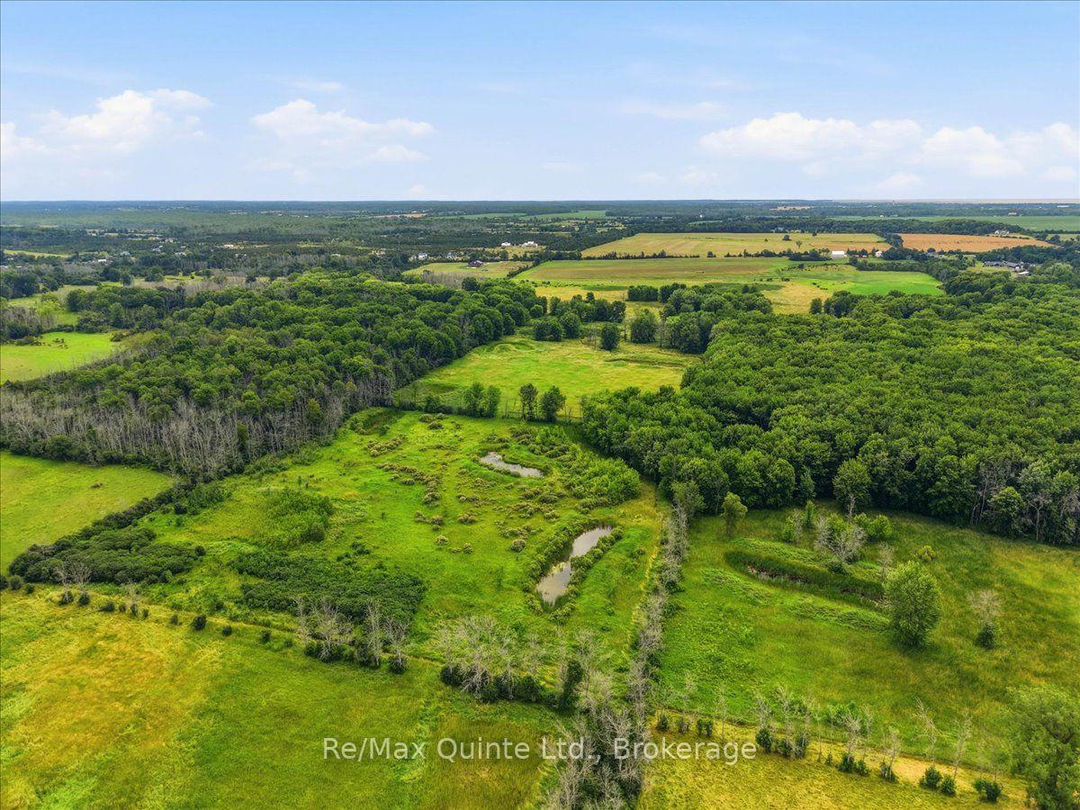 Photo 40 of 249 Carter Road, Prince Edward County, Hillier Ward — HOMEH