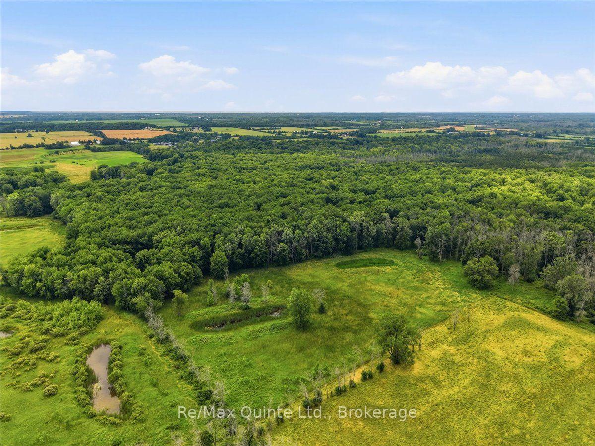 Photo 41 of 249 Carter Road, Prince Edward County, Hillier Ward — HOMEH