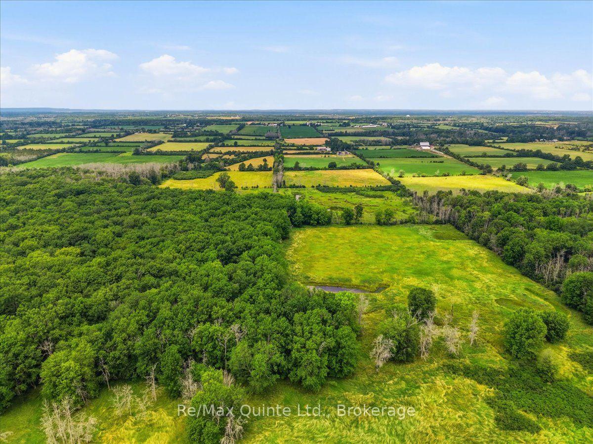 Photo 42 of 249 Carter Road, Prince Edward County, Hillier Ward — HOMEH