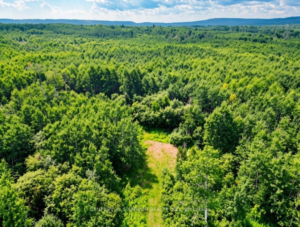 Photo 9 of 161 Valley Road, Dorion, TB-59 — HOMEH