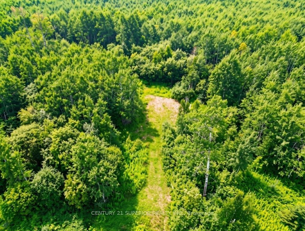 Photo 10 of 161 Valley Road, Dorion, TB-59 — HOMEH