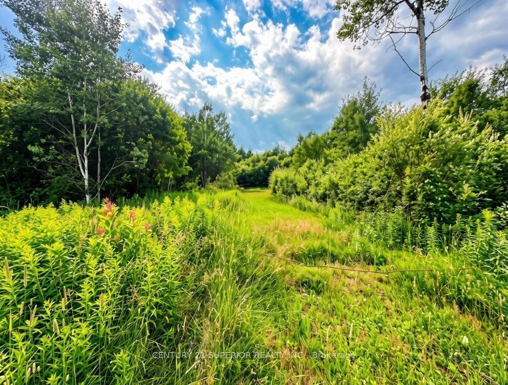 Photo 14 of 161 Valley Road, Dorion, TB-59 — HOMEH