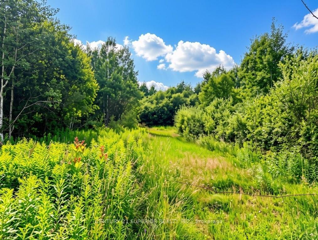 Photo 15 of 161 Valley Road, Dorion, TB-59 — HOMEH