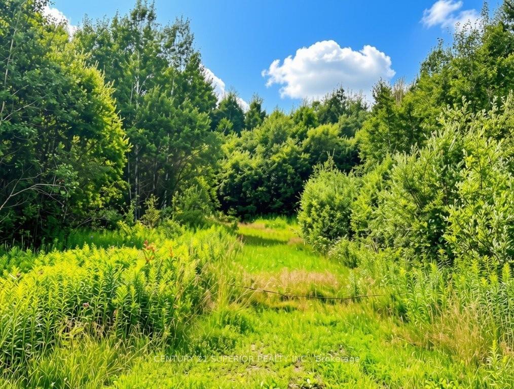 Photo 16 of 161 Valley Road, Dorion, TB-59 — HOMEH