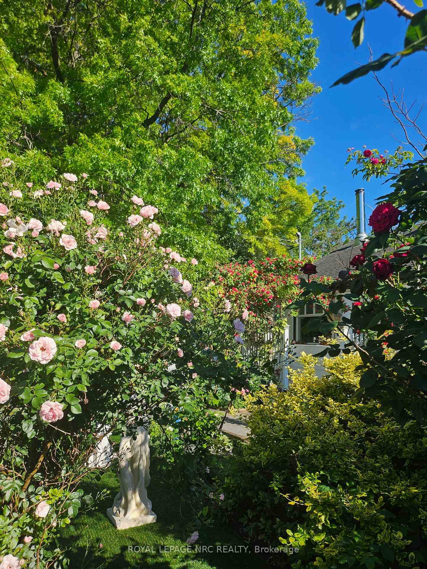 Photo 2 of 7 Vera Street, St. Catharines, Western Hill — HOMEH