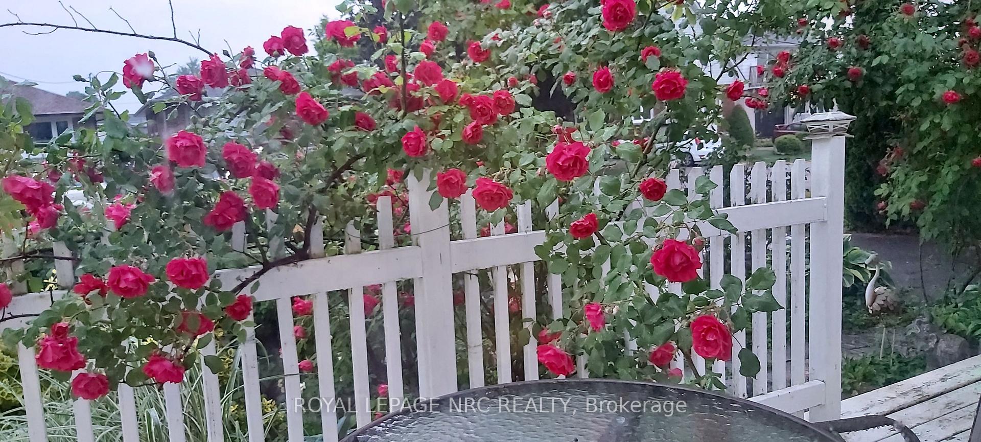Photo 37 of 7 Vera Street, St. Catharines, Western Hill — HOMEH