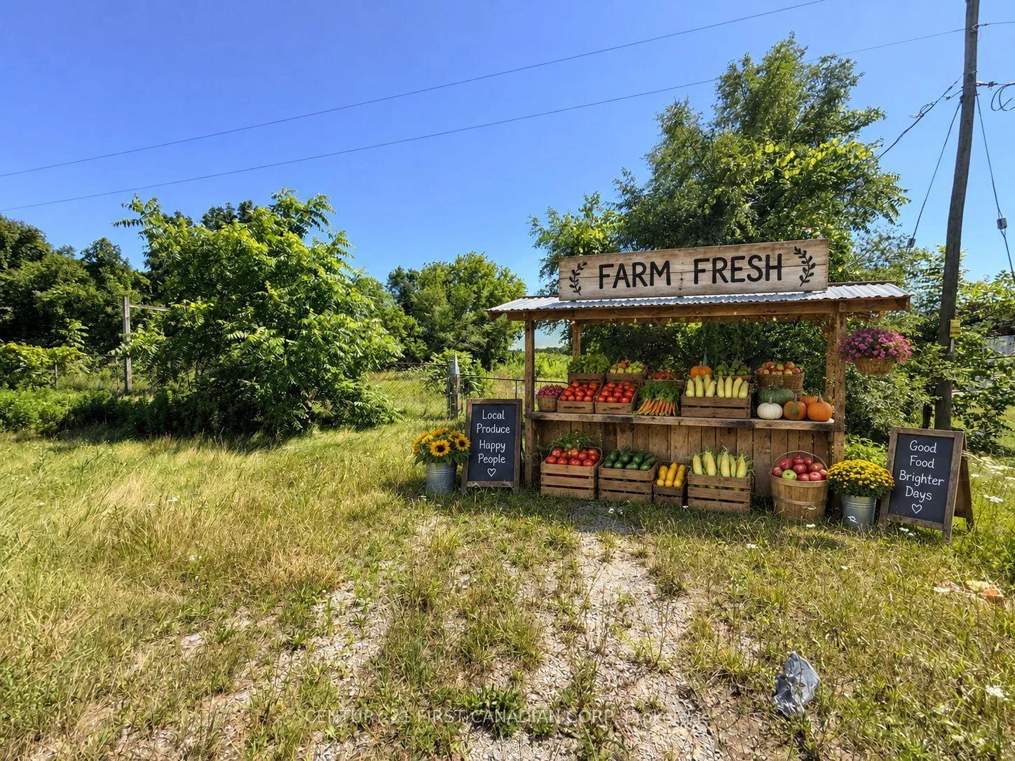 Photo 6 of 758 Governor's Road E, Brant, Paris — HOMEH