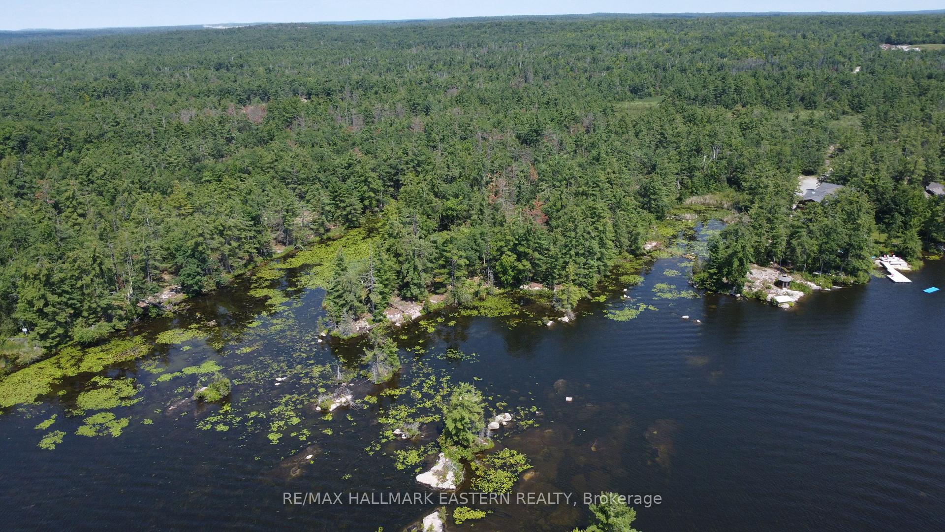 Photo 2 of 12 Fire Route 21, Trent Lakes — HOMEH