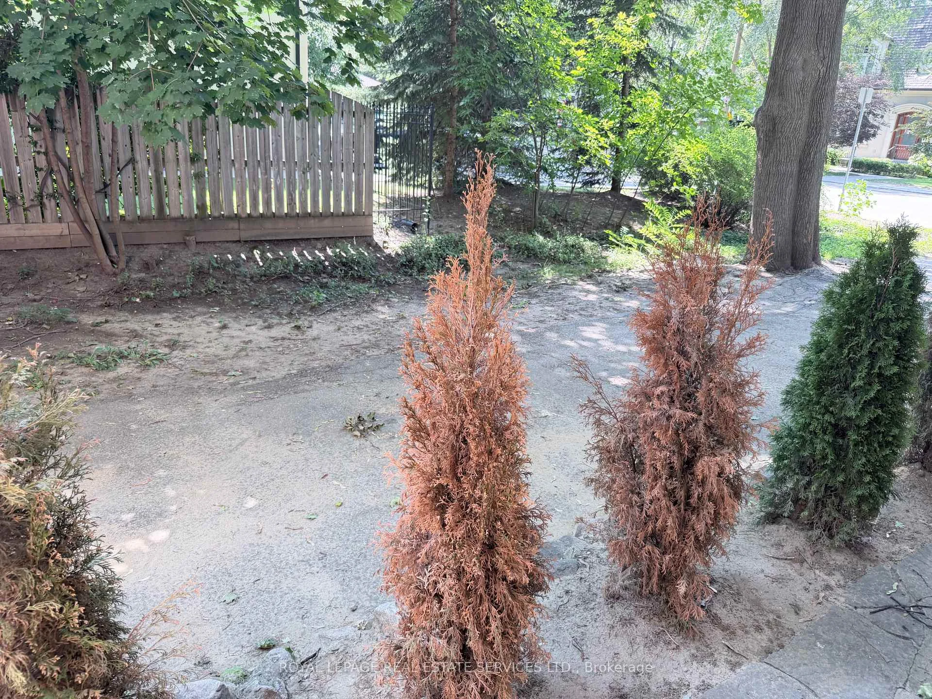 Photo 36 of Unit Lower Level 1, 302 Maple Avenue, Oakville, Old Oakville — HOMEH