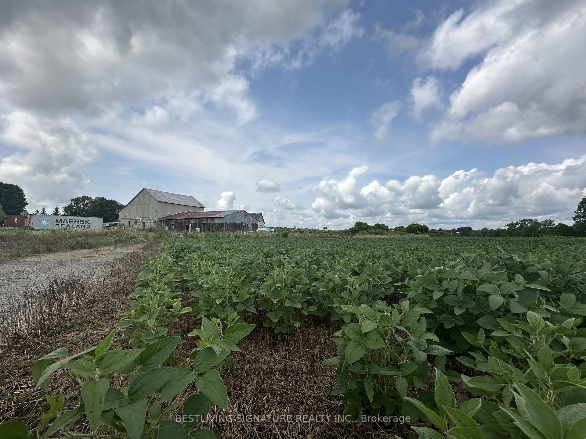Photo 5 of 3752 Elm Tree Road, Kawartha Lakes, Fenelon — HOMEH