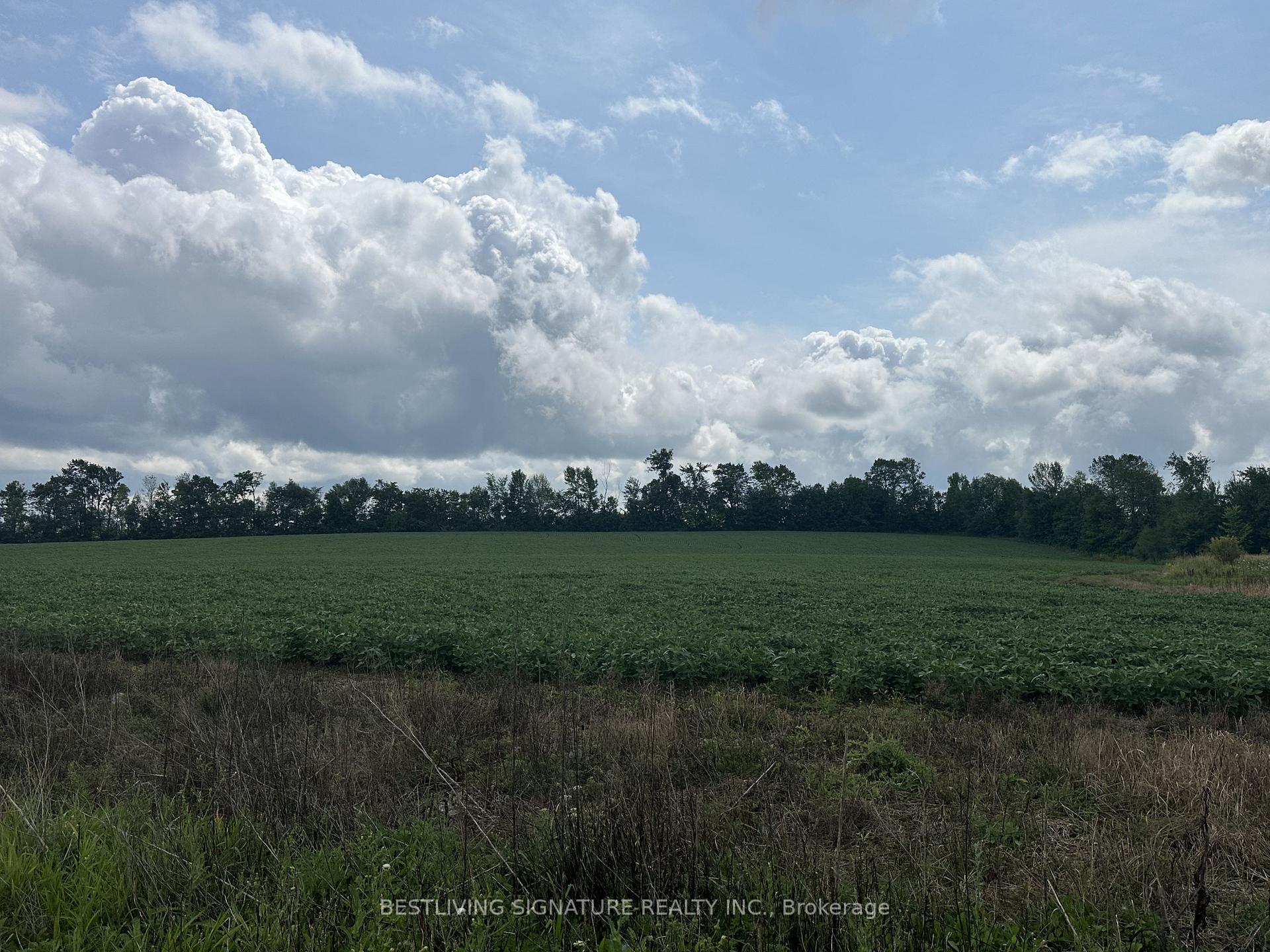 Photo 6 of 3752 Elm Tree Road, Kawartha Lakes, Fenelon — HOMEH