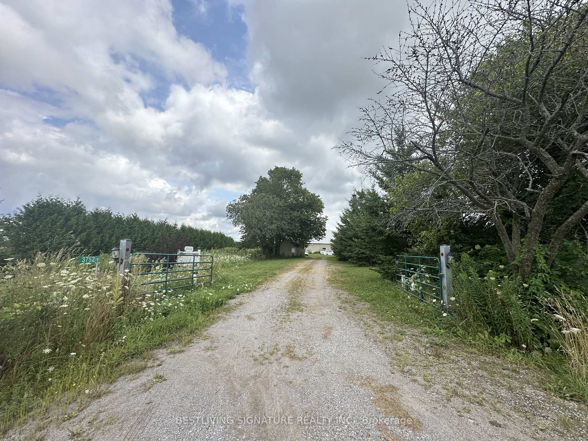 Photo 25 of 3752 Elm Tree Road, Kawartha Lakes, Fenelon — HOMEH