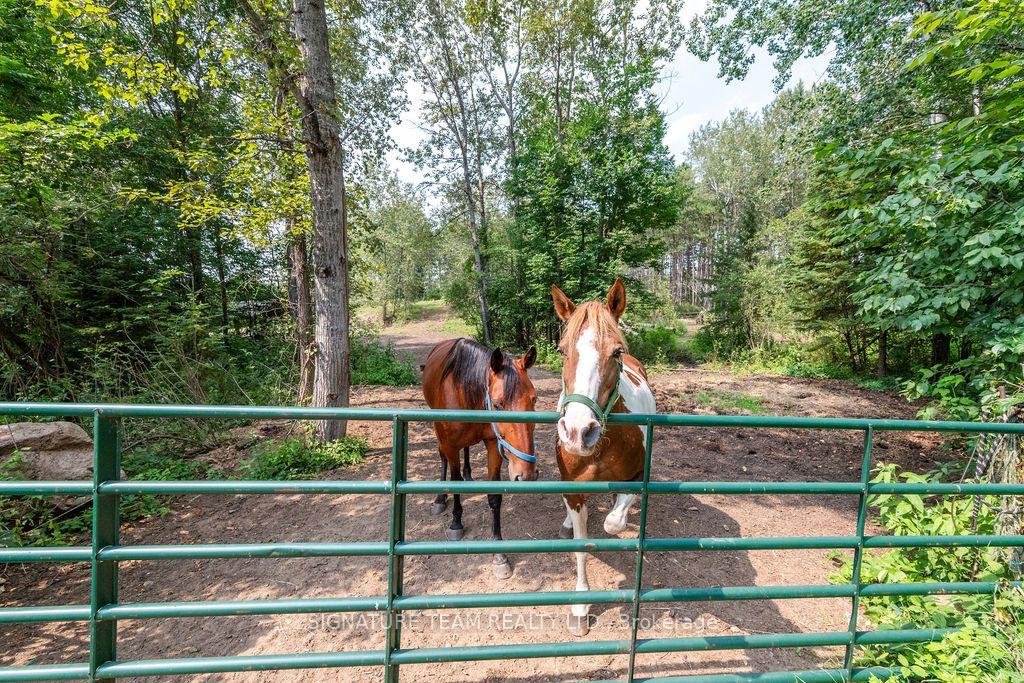 Photo 34 of 538 Lenser Road, Bonnechere Valley, Eganville/Bonnechere Twp — HOMEH