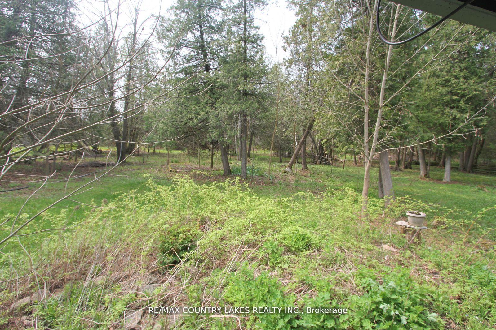 Photo 67 of B40440 Shore Road, Brock, Rural Brock — HOMEH