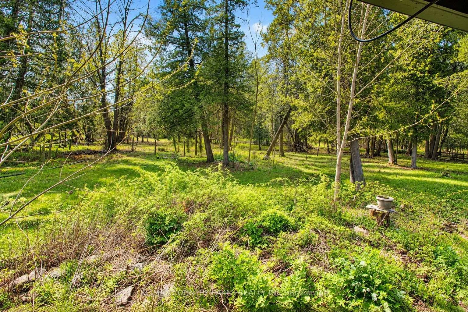 Photo 66 of B40440 Shore Road, Brock, Rural Brock — HOMEH