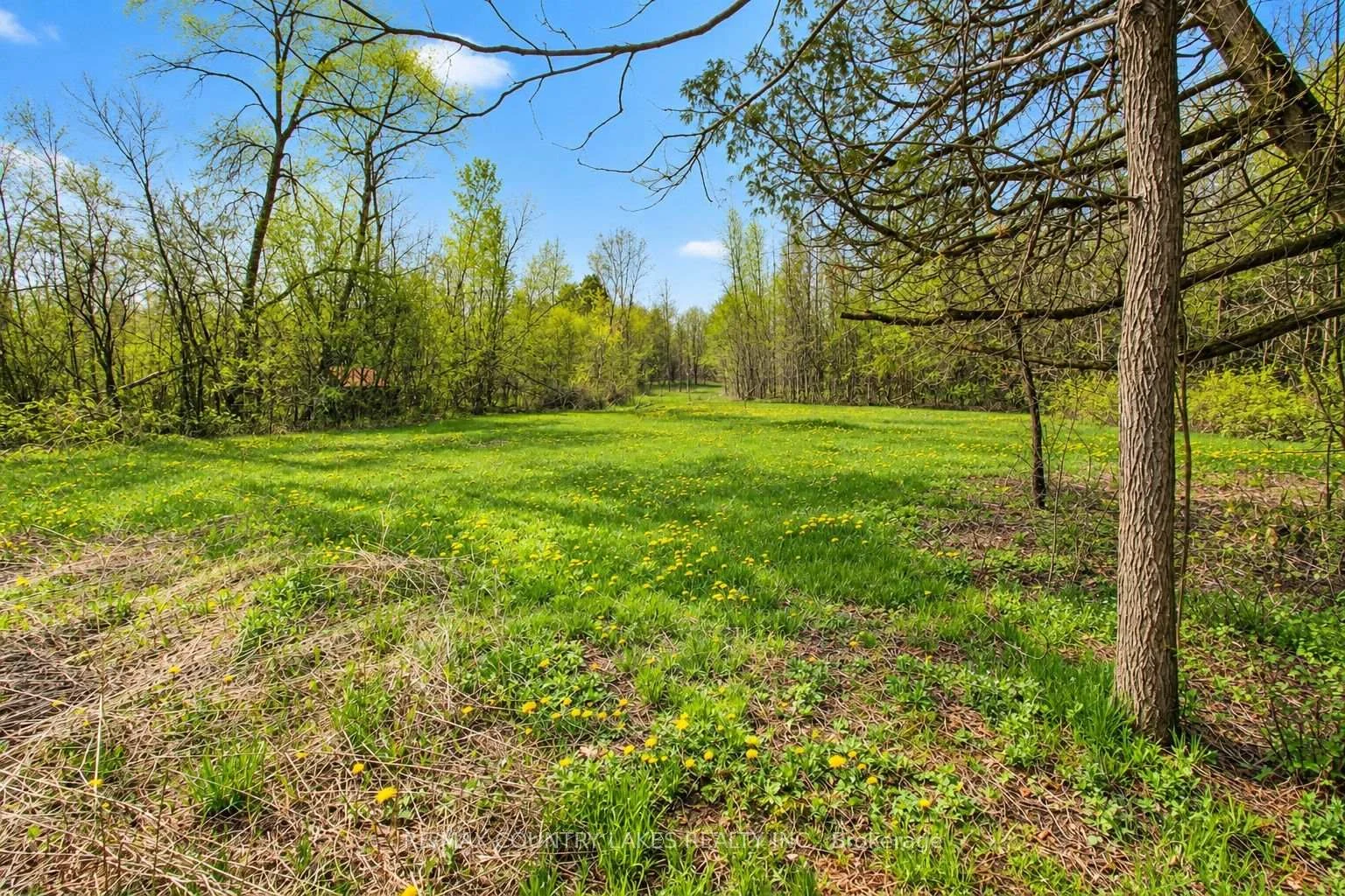 Photo 76 of B40440 Shore Road, Brock, Rural Brock — HOMEH
