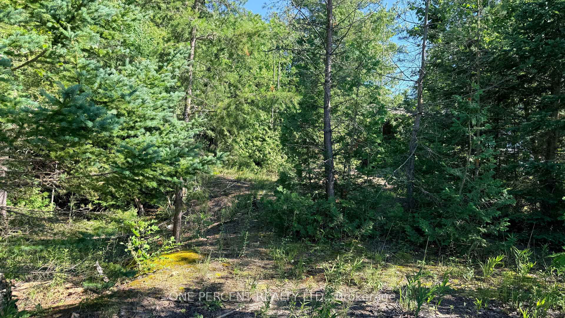 Photo 3 of 1554 Shore Lane, Wasaga Beach — HOMEH