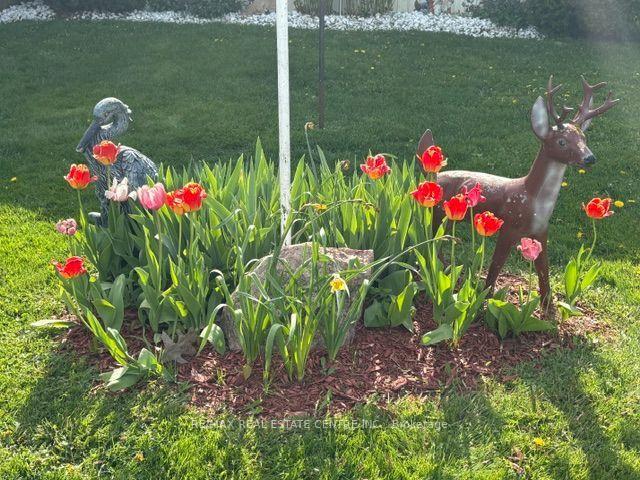 Photo 33 of 21 Maple Grove Village Road, Southgate — HOMEH