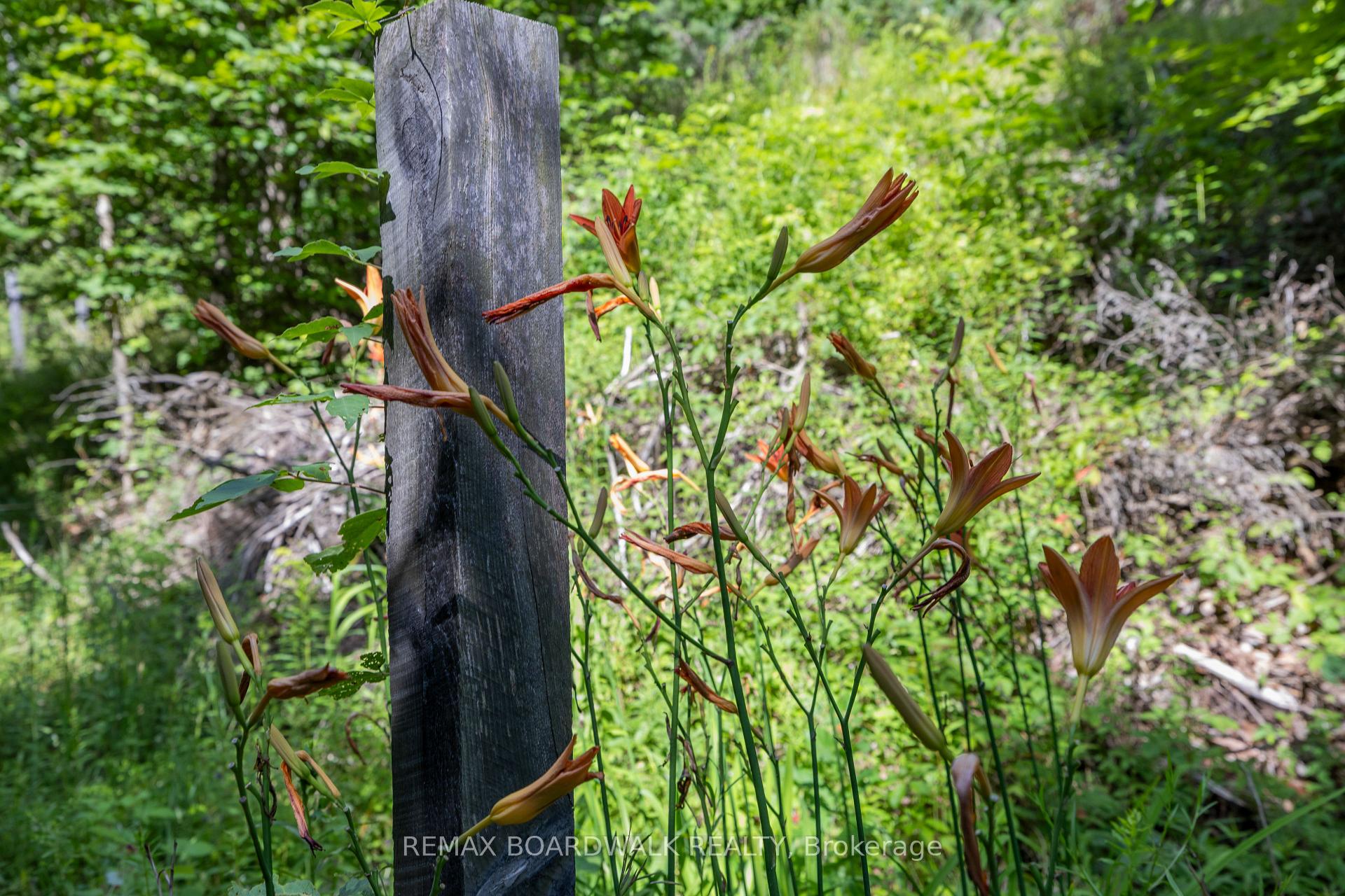 Photo 46 of 24163 Highway 7, Frontenac, Frontenac Centre — HOMEH