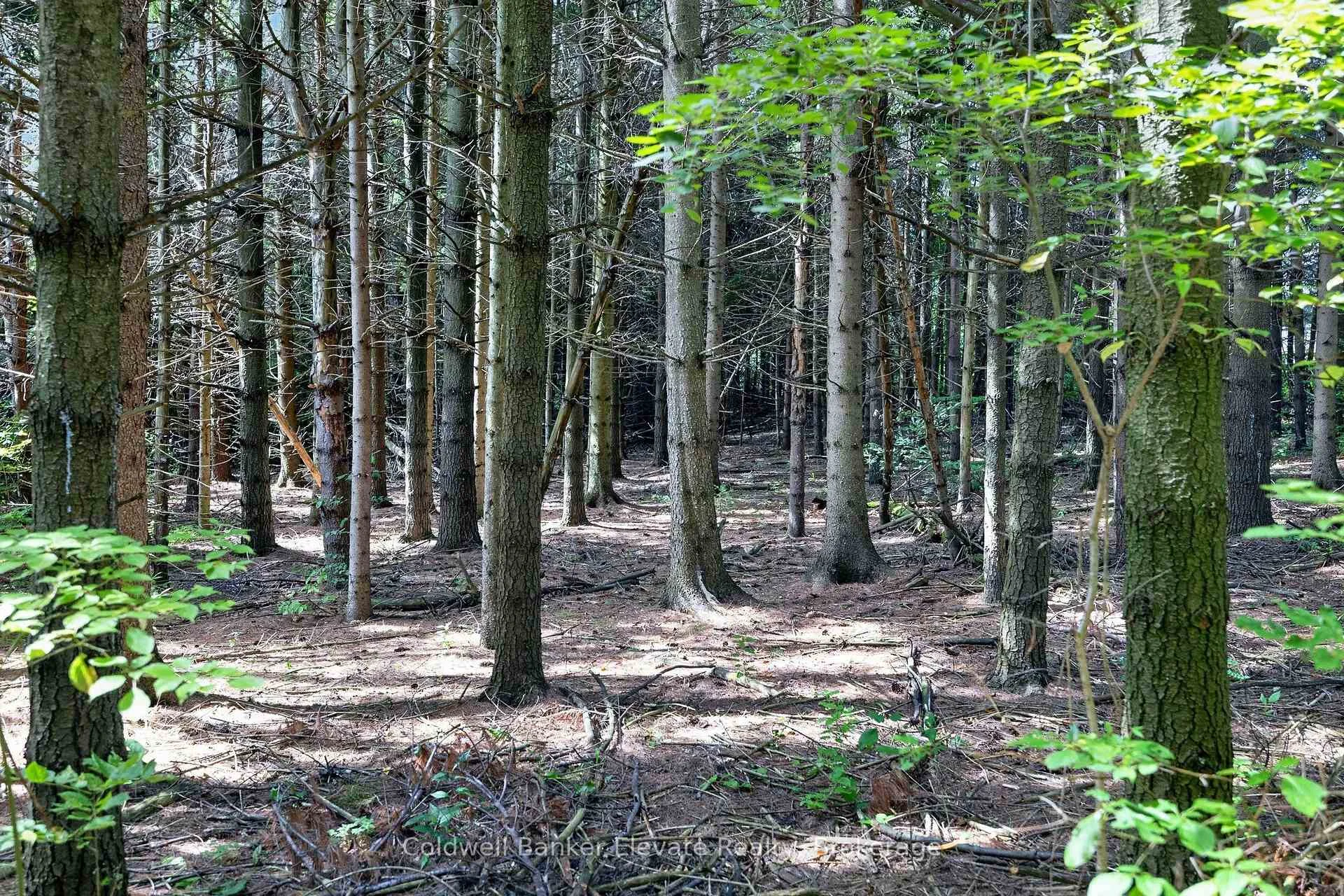 Photo 91 of 5126 Ninth Line, Erin, Rural Erin — HOMEH