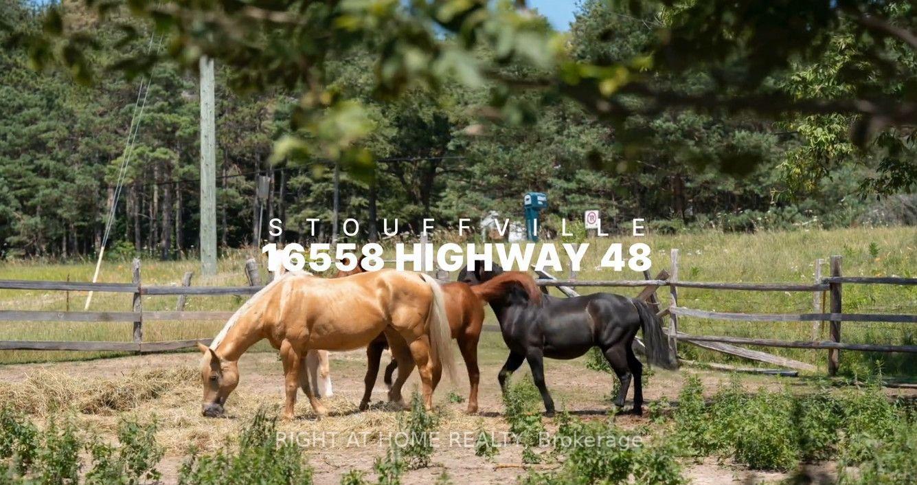 Photo of 16558 Highway 48