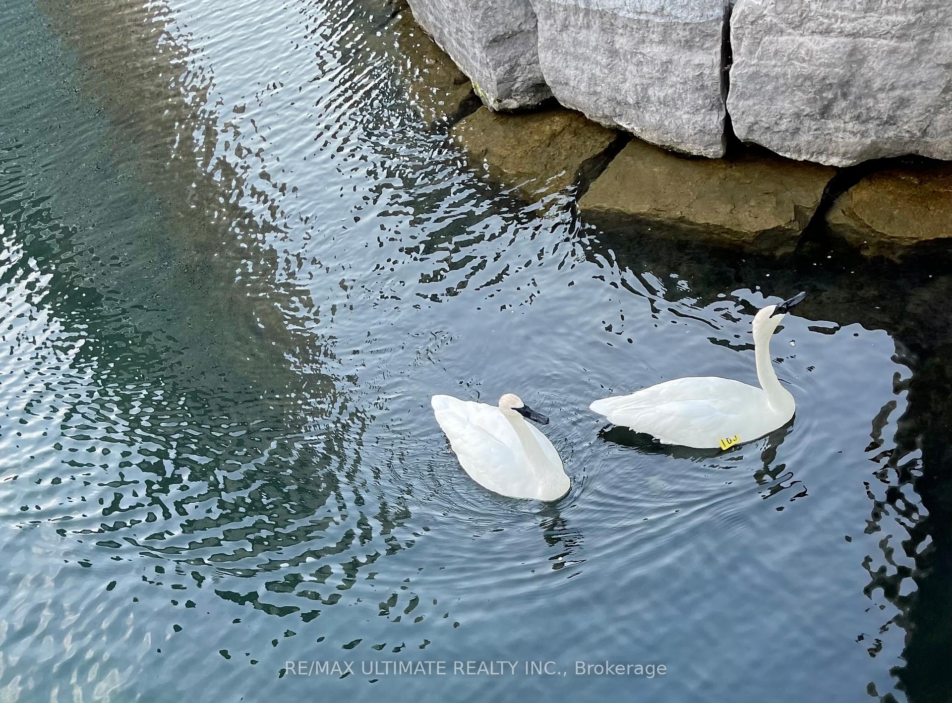 Photo 29 of Unit #6206, 30 Shore Breeze Drive, Etobicoke, Mimico — HOMEH