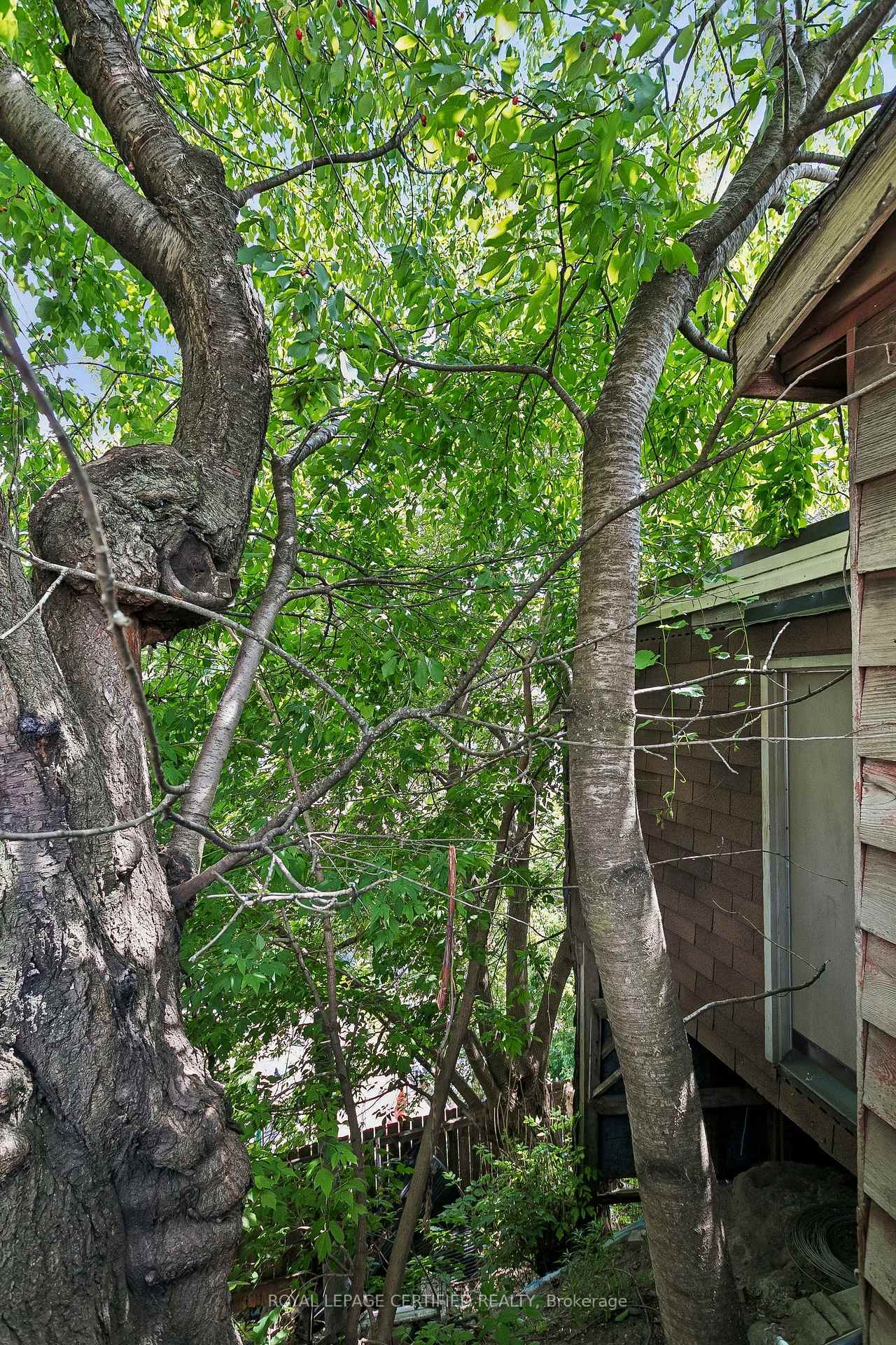 Photo 35 of 33 Donald Avenue, Toronto, Keelesdale-Eglinton West — HOMEH