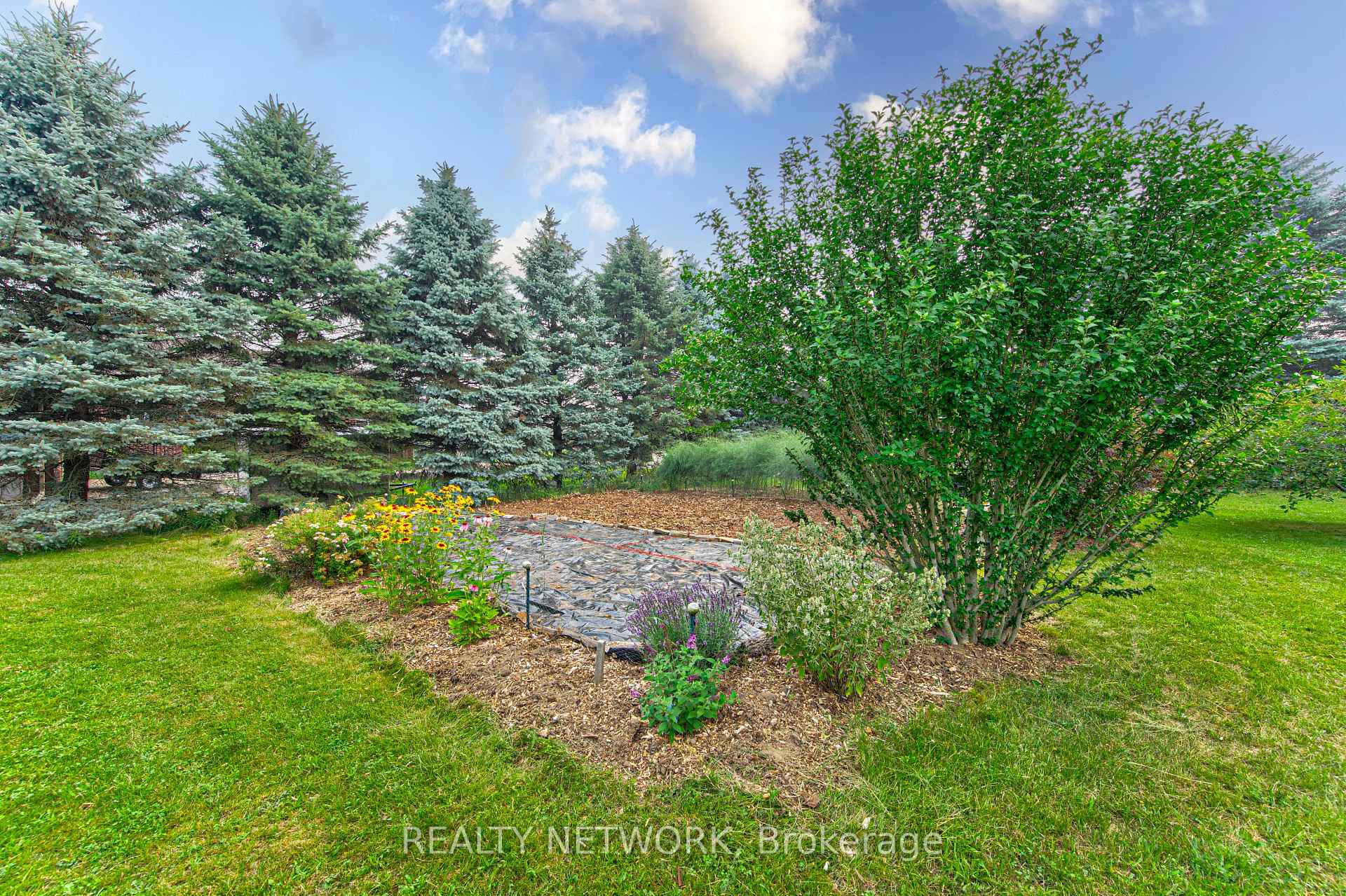 Photo 39 of 40 Peter Street, Brant, Brantford Twp — HOMEH