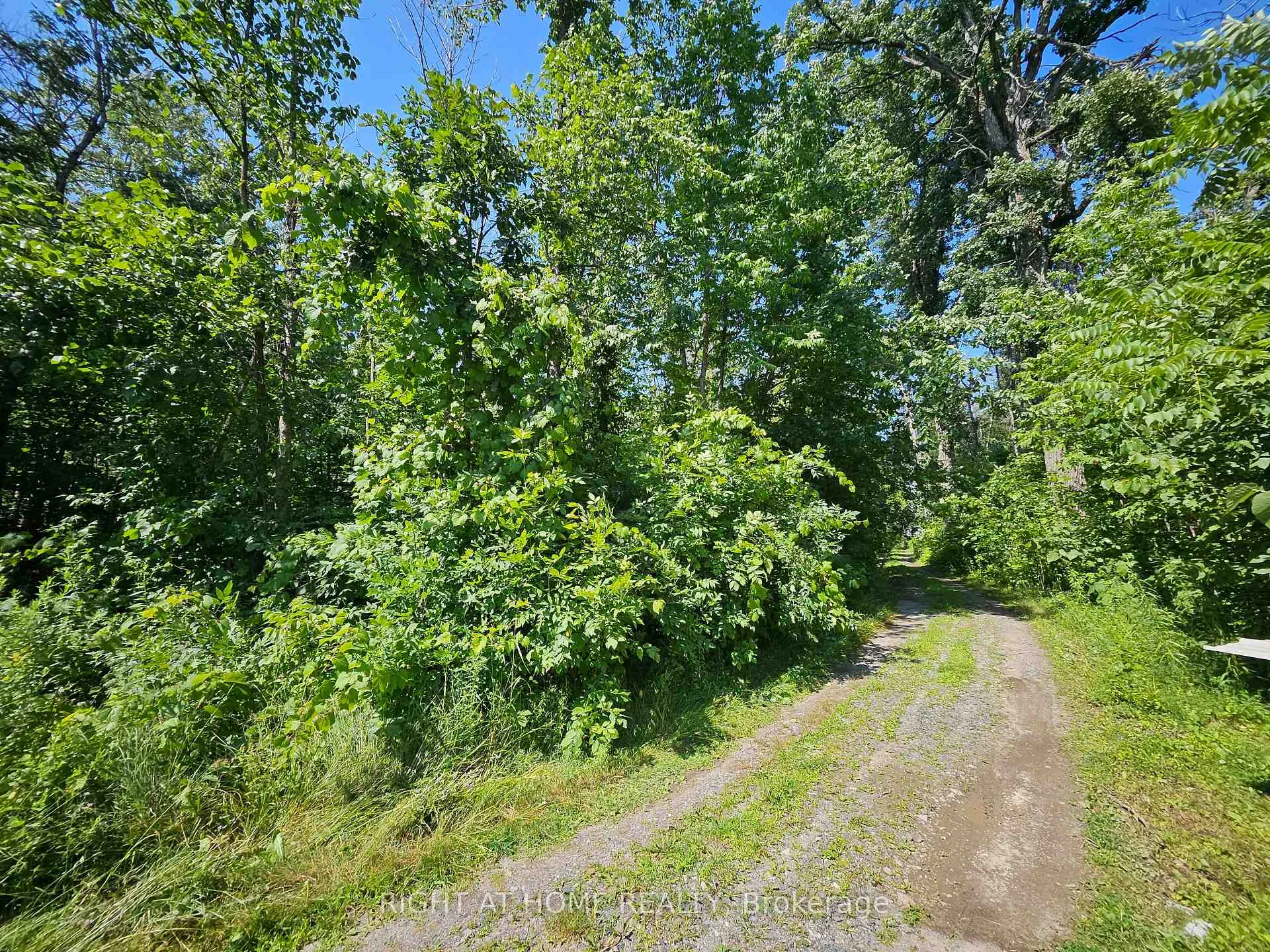 Photo 3 of Shanval Lane, Marmora and Lake, Marmora Ward — HOMEH
