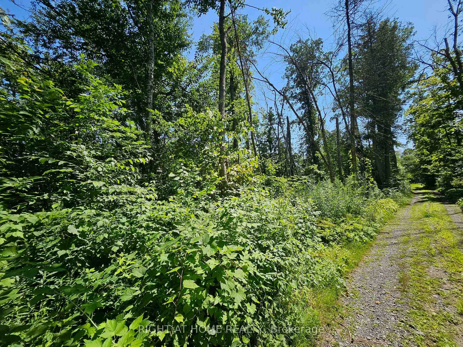 Photo 4 of Shanval Lane, Marmora and Lake, Marmora Ward — HOMEH