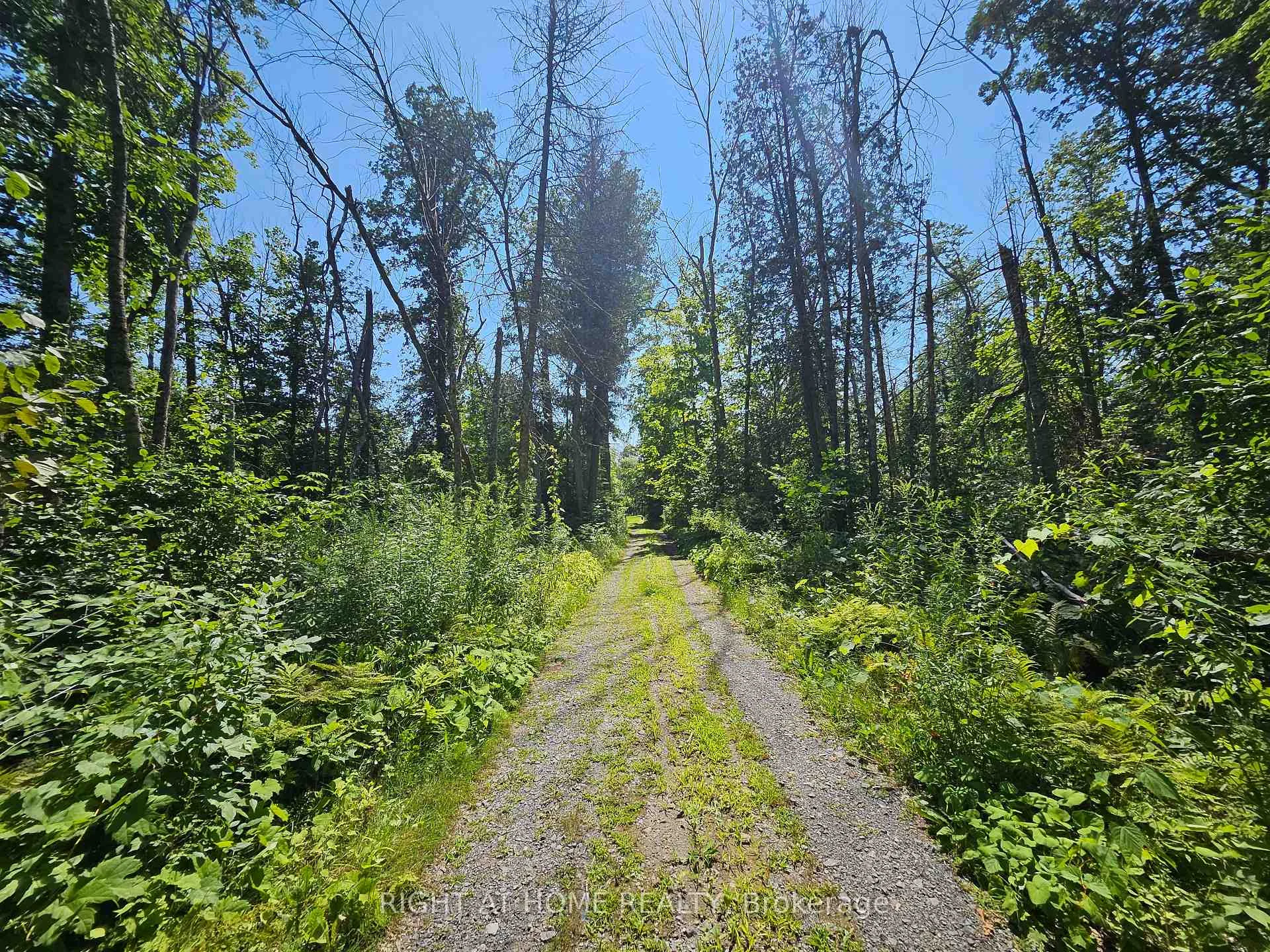 Photo 5 of Shanval Lane, Marmora and Lake, Marmora Ward — HOMEH