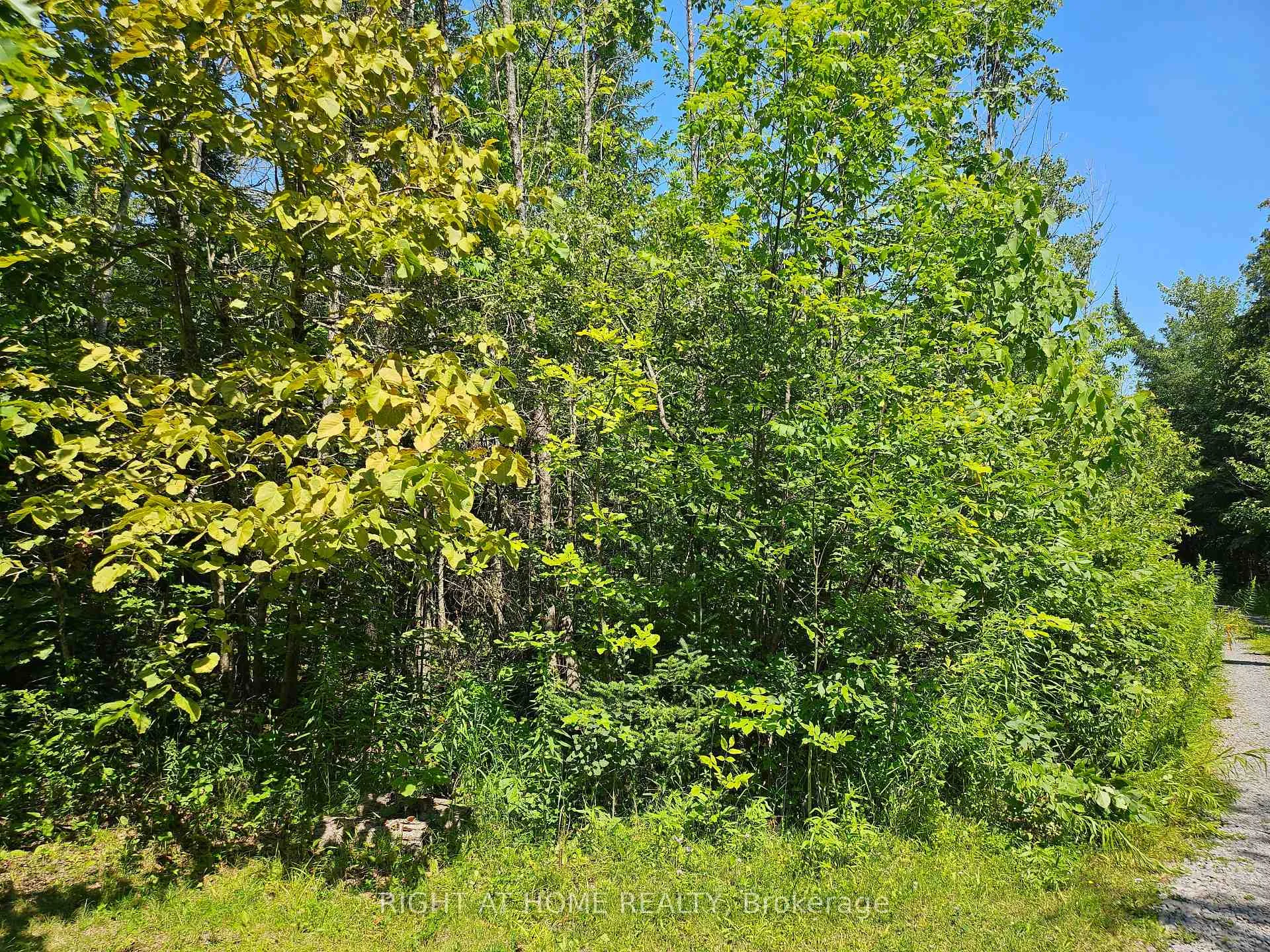 Photo 6 of Shanval Lane, Marmora and Lake, Marmora Ward — HOMEH