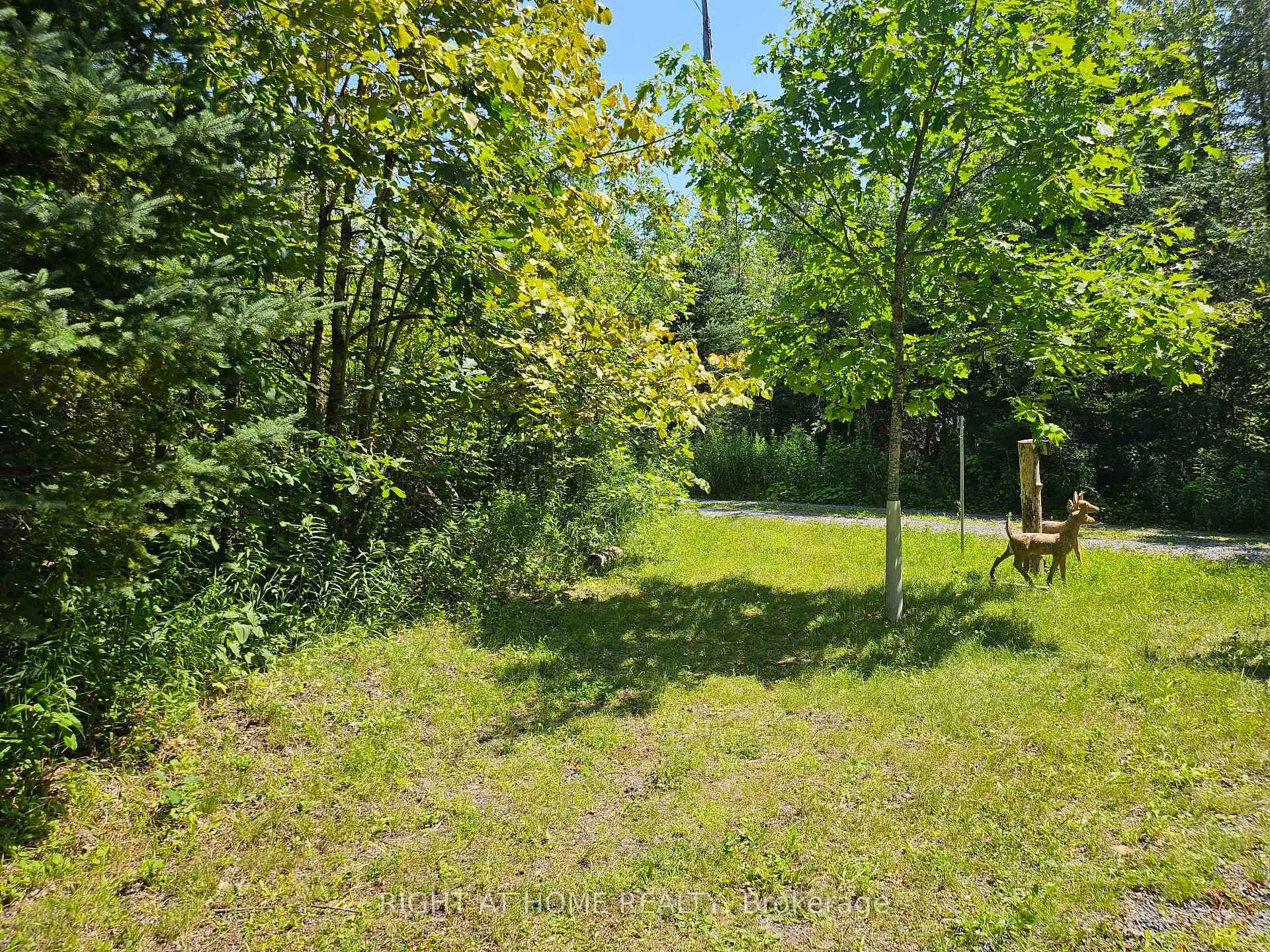 Photo 7 of Shanval Lane, Marmora and Lake, Marmora Ward — HOMEH