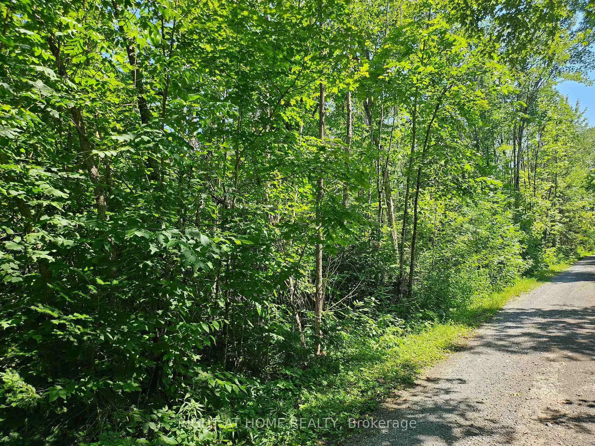 Photo 8 of Shanval Lane, Marmora and Lake, Marmora Ward — HOMEH
