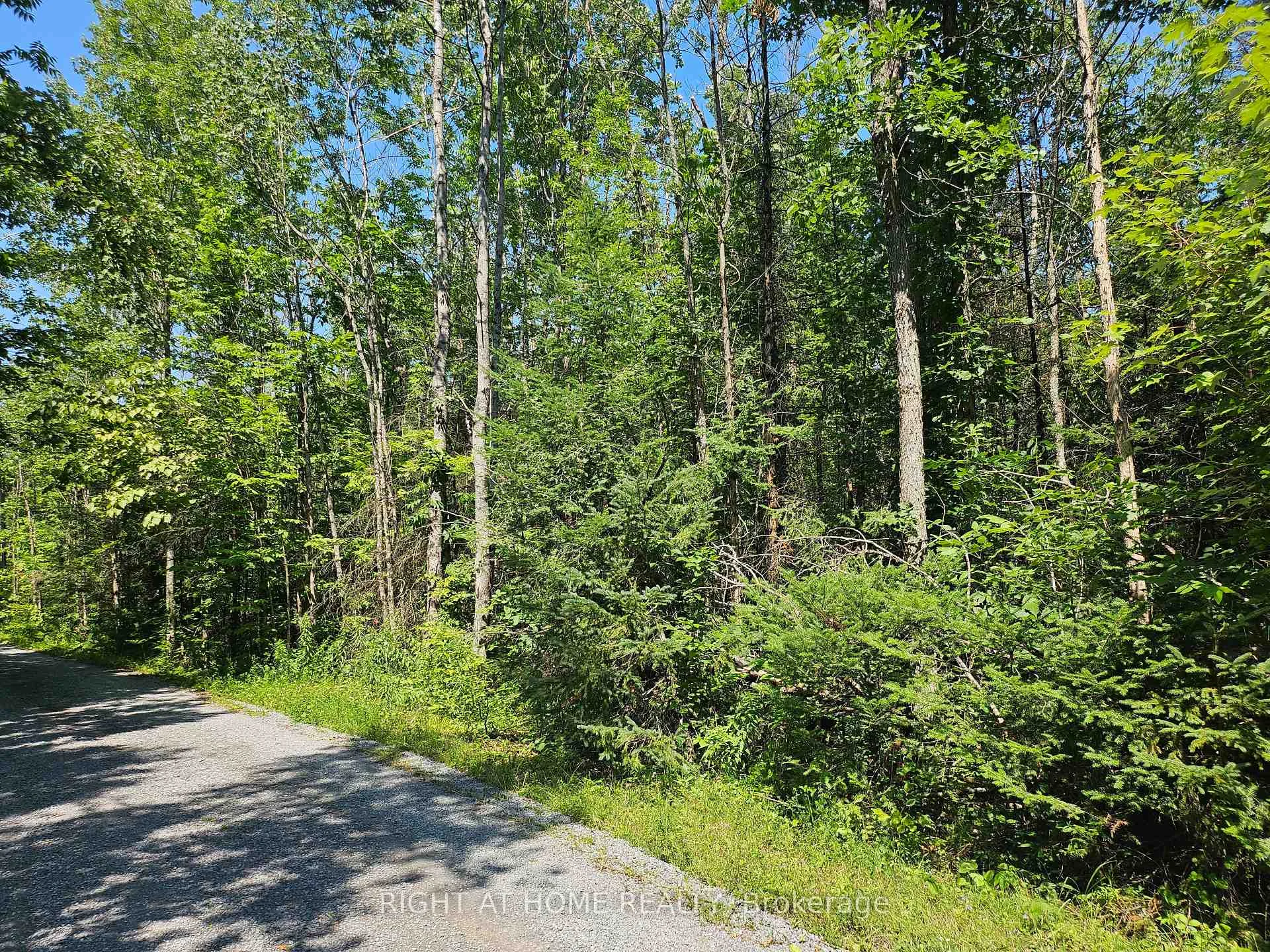 Photo 9 of Shanval Lane, Marmora and Lake, Marmora Ward — HOMEH
