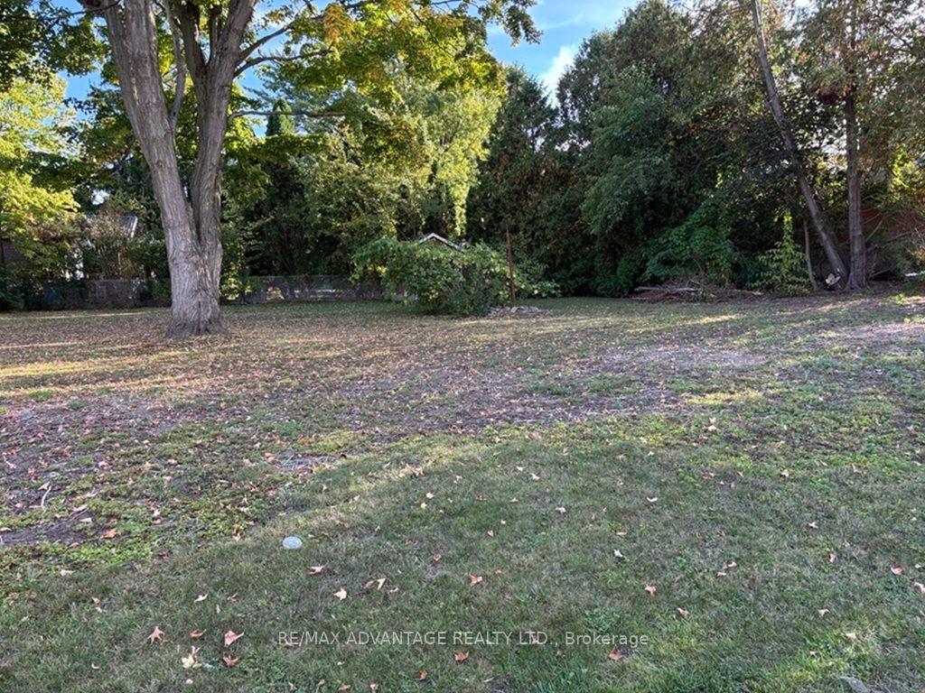 Photo of 001 Woodbine Street