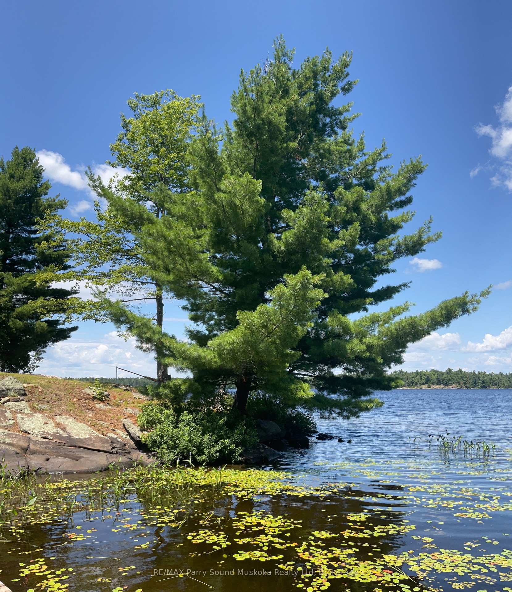Photo 10 of 216 Lone Tree Road, Parry Sound Remote Area, Hardy — HOMEH