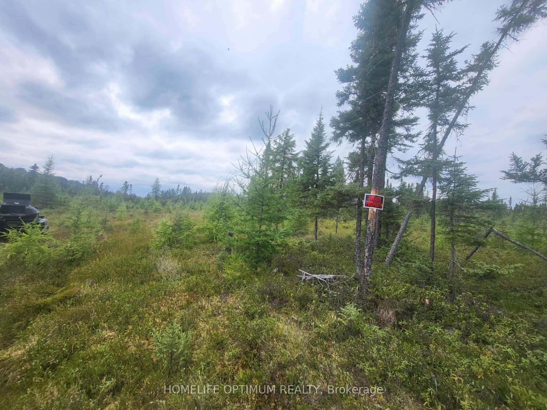 Photo 3 of PCL 9194 Revell Township, Kenora — HOMEH