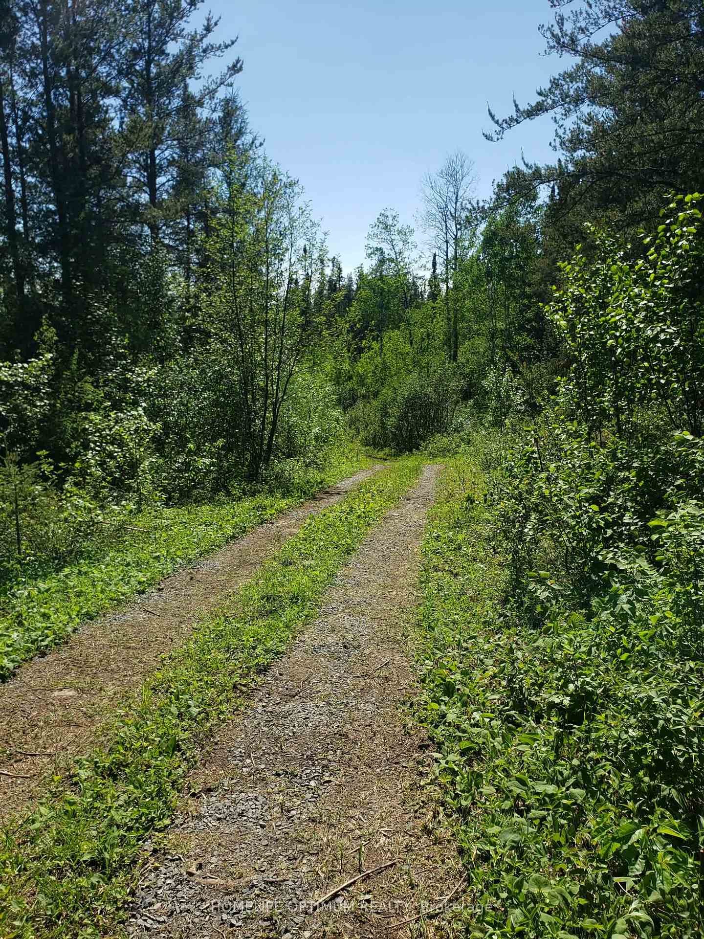 Photo 6 of PCL 9194 Revell Township, Kenora — HOMEH
