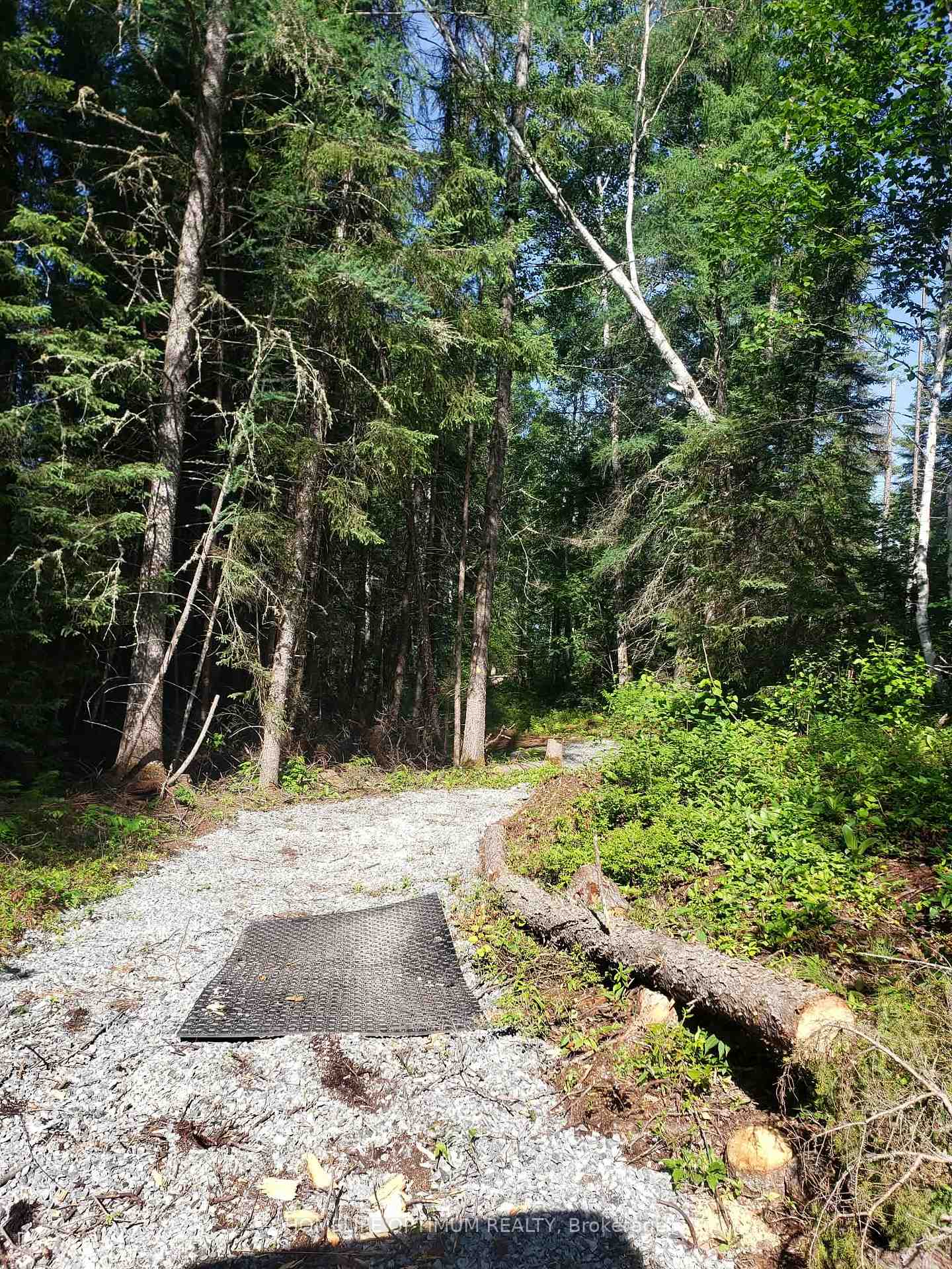 Photo 9 of PCL 9194 Revell Township, Kenora — HOMEH