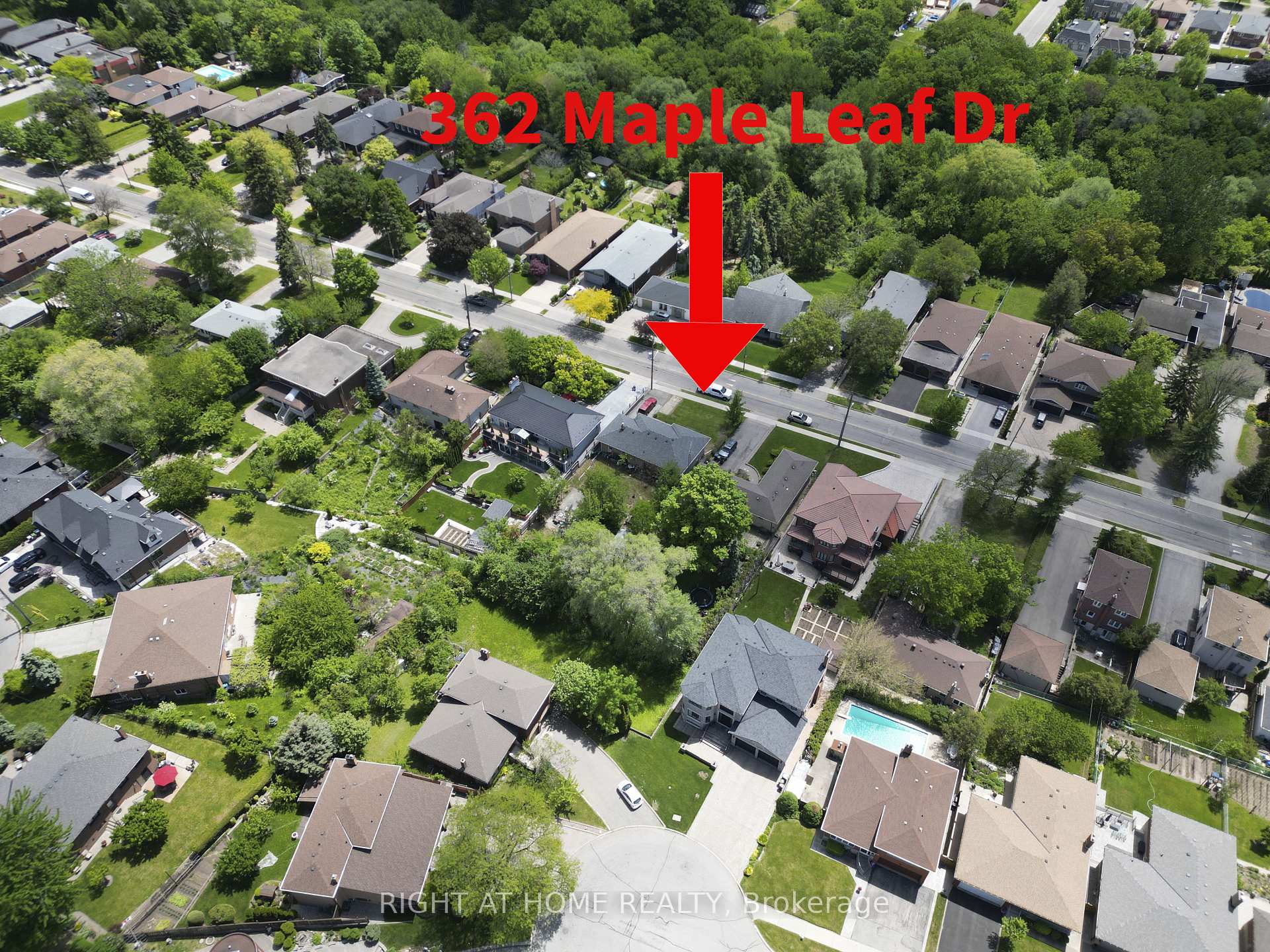 Photo 5 of 362 Maple Leaf Drive, North York, Maple Leaf — HOMEH