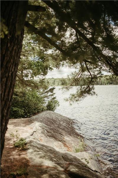 Photo 32 of 3256 Machar Strong Boundary, Parry Sound Remote Area, Lount — HOMEH