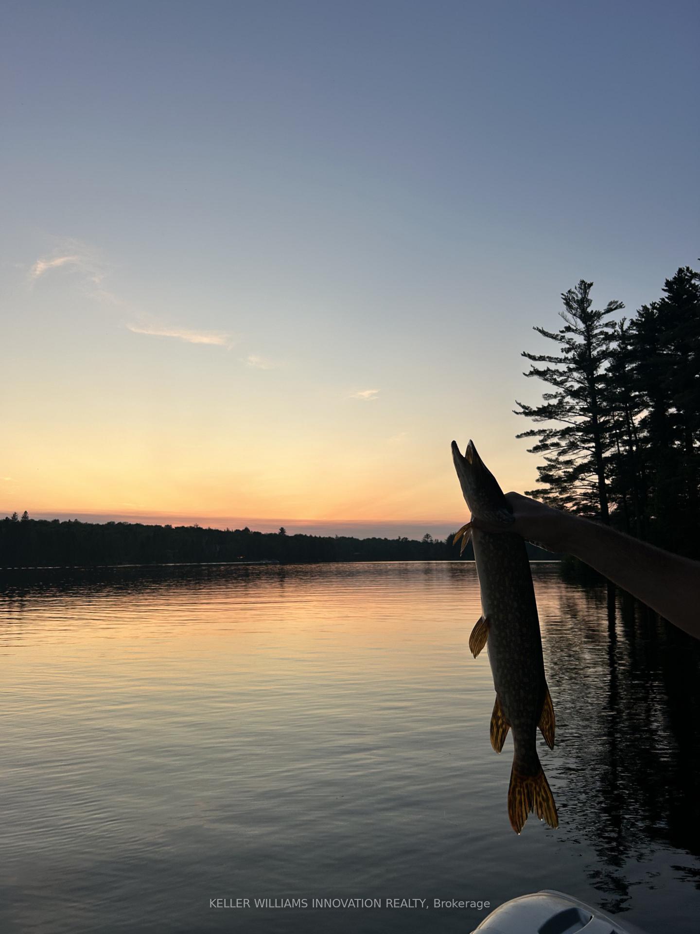 Photo 37 of 3256 Machar Strong Boundary, Parry Sound Remote Area, Lount — HOMEH