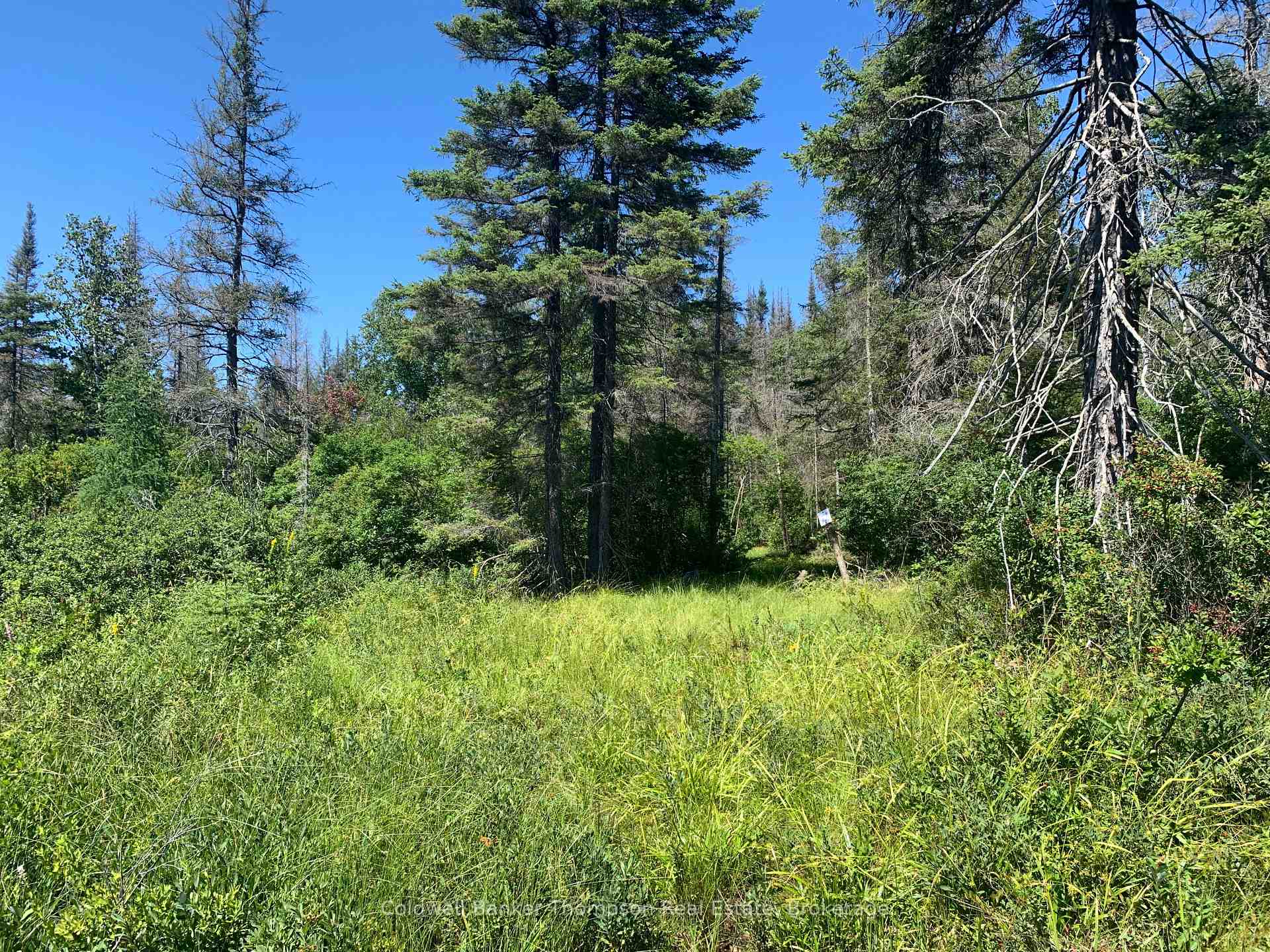 Photo 15 of Brennan's Road, Joly — HOMEH